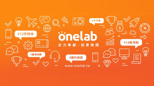 ONElab feature